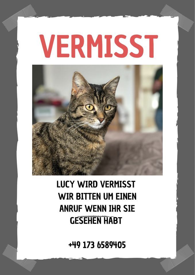 Lucy wird vermisst in Lauda-Königshofen