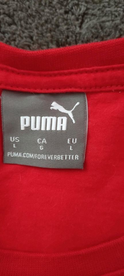 Damenshirt von Puma Gr.L in Dresden