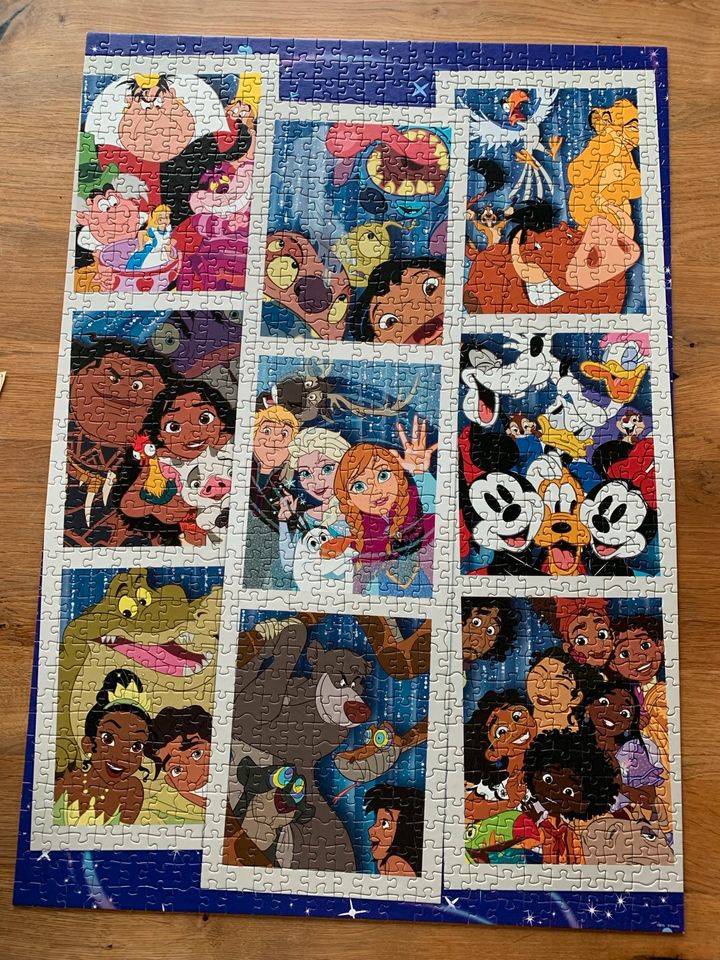 Educa Disney Puzzle 1000 in Holsthum