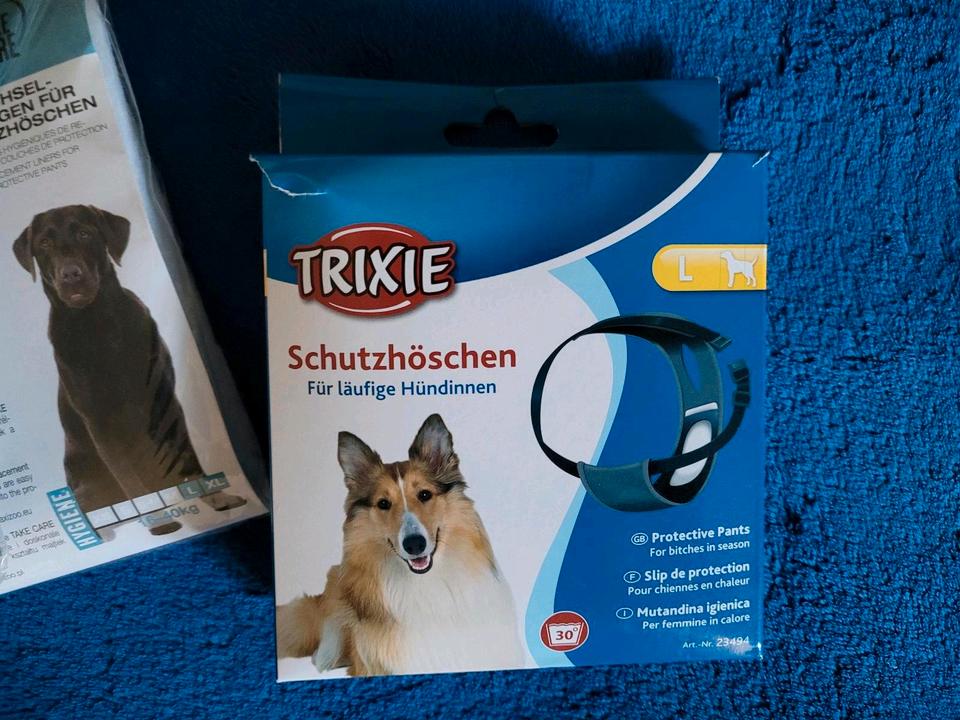 EINWEGWINDELN EINLAGEN SCHUTZHÖSCHEN HÜNDIN L / XL HALSKRAUSE in Königs Wusterhausen