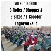 E-Roller / E-Chopper / E-Bike - verschiedene Modelle (700€-3100€) Baden-Württemberg - Steinheim an der Murr Vorschau