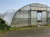 ✨✨Gewächshaus✨Folientunnel✨56m x 8,5m✨✨ Niedersachsen - Uplengen Vorschau