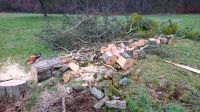 Holzmulm (Insektenhotel & Terrarium geeignet) Rheinland-Pfalz - Treis-Karden Vorschau