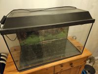 60 Liter Aquarium Schleswig-Holstein - Lübeck Vorschau