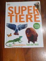 Super Tiere Eimsbüttel - Hamburg Niendorf Vorschau