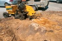 Wurzel entfernen fräsen Baumstumpf Baum fällen Sachsen-Anhalt - Oschersleben (Bode) Vorschau