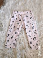 Flauschige Hose / gefütterte Leggings Gr. 74 Jogginghose Bayern - Rosenheim Vorschau