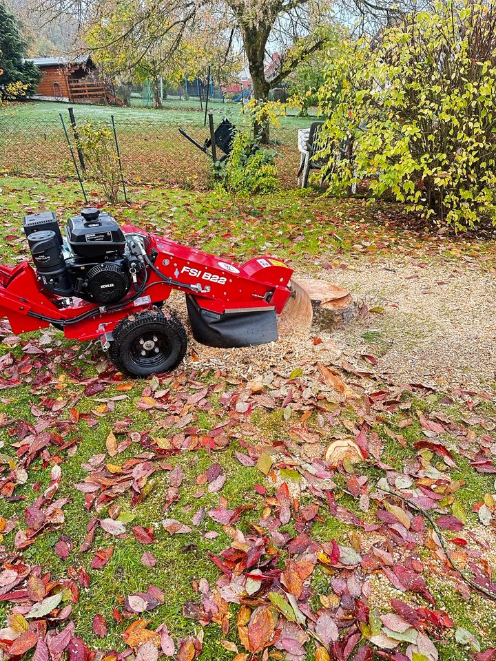 Wurzelstockfräsen Wurzelfräsen Stubbenfräsen Baumstumpffräsen in Detmold