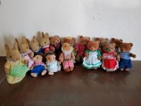 Sylvanian Family Tiere Bär Igel Zwerg und Hase 15 Figuren Bayern - Kleinostheim Vorschau