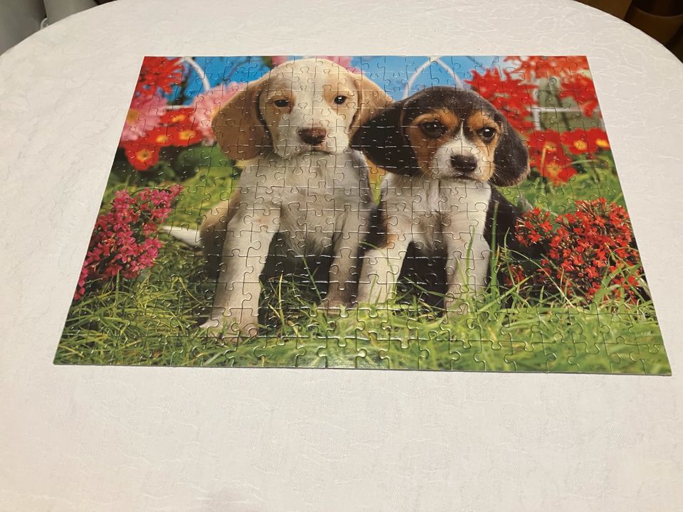 Junge Beagles - Puzzle - 280 Teile - Ravensburger - Hunde in Hamburg