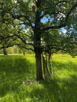 Gartengrundstück/Streuobstwiese zu verpachten Esslingen Zell Baden-Württemberg - Esslingen Vorschau