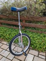 Hudora Einrad 20" Hessen - Hünstetten Vorschau