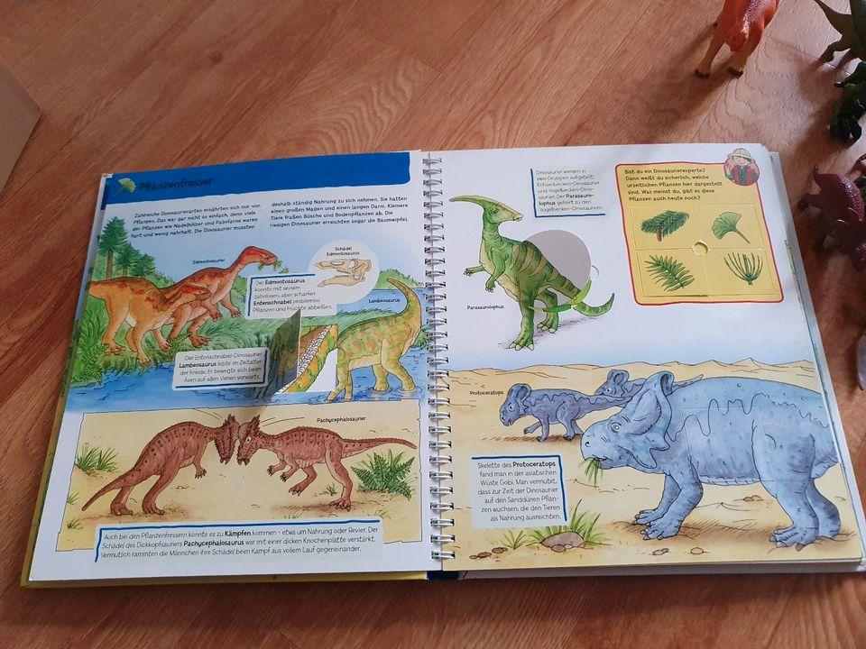 Dinosaurier + Buch in Stendal