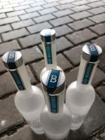 Belvedere Flaschen 4 Stück leer Hessen - Taunusstein Vorschau