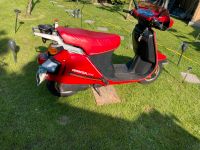 Honda Lead 125ccm Niedersachsen - Leer (Ostfriesland) Vorschau