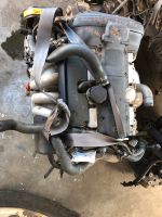 Volvo V 40 S 40 Motor B1484S2 1.8 90kw 122PS Sachsen-Anhalt - Jessen (Elster) Vorschau