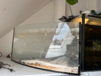 Eck Aquarium/Terrarium zu verschenken Friedrichshain-Kreuzberg - Kreuzberg Vorschau