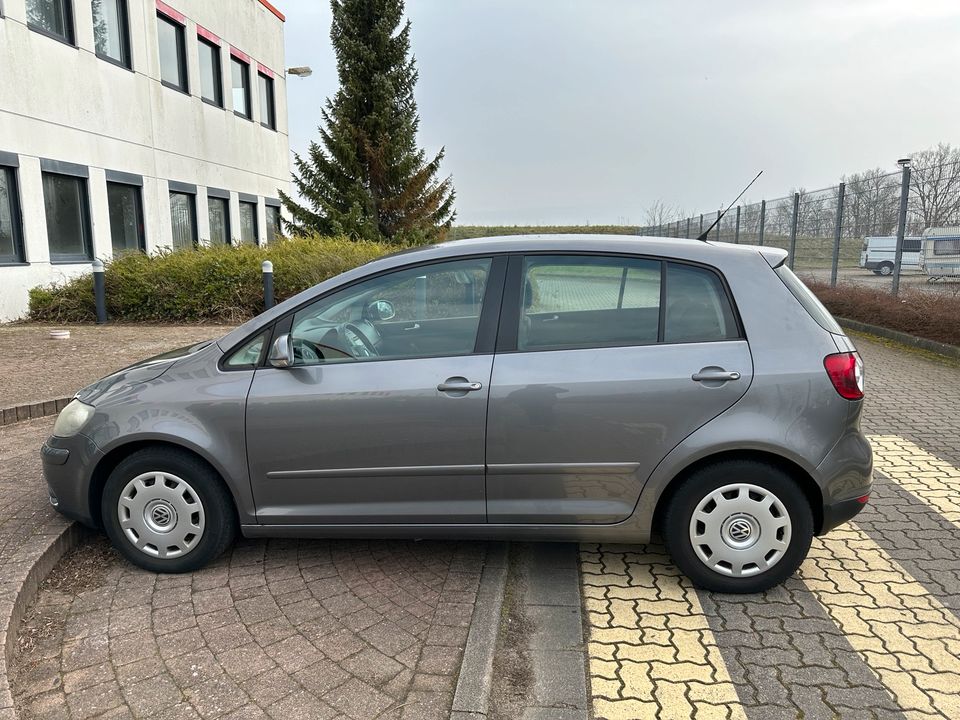 VW Golf Plus1.9 TDI Klimaanlage ZV+Funk el.FH el.SP in Ziesendorf