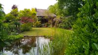 Kleines Haus mit großem Garten und Teich Nordrhein-Westfalen - Rheurdt Vorschau