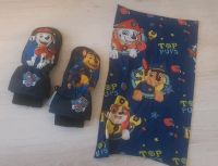 Paw Patrol Winter Set Handschuhe & Loop Hamburg-Nord - Hamburg Langenhorn Vorschau