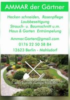 Gartenarbeit Berlin - Mahlsdorf Vorschau