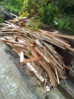 Brennholz zu verschenken Nordrhein-Westfalen - Gummersbach Vorschau