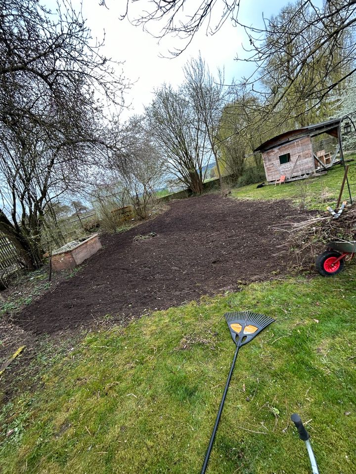 Garten und Landschaftspflege in Homberg