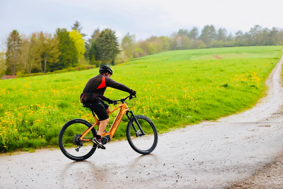 E-Bike/ Waldbike E-CITY / E-TREKKING TILIA/ lizard green in Lünen