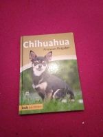 Chihuahua Buch Brandenburg - Bad Wilsnack Vorschau