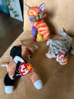 Ty beanie Baby Kaleidoscope, Silver und Chip Dortmund - Aplerbeck Vorschau