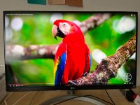 LG 27UL600-W, 4K, UHD, Monitor Kiel - Hasseldieksdamm Vorschau