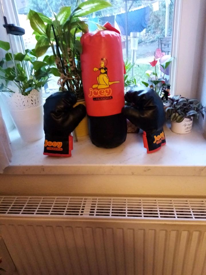 Boxsack u. 2 Box Handschuhe wie Neu in Dresden