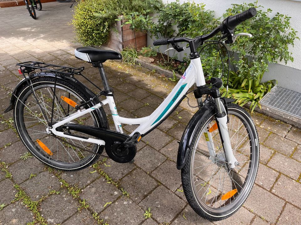 Jugend Fahrrad PEGASUS Avanti 24" 32cm Rahmen in Breisach am Rhein  