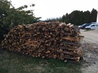 Trockenes Brennholz Bayern - Wolnzach Vorschau