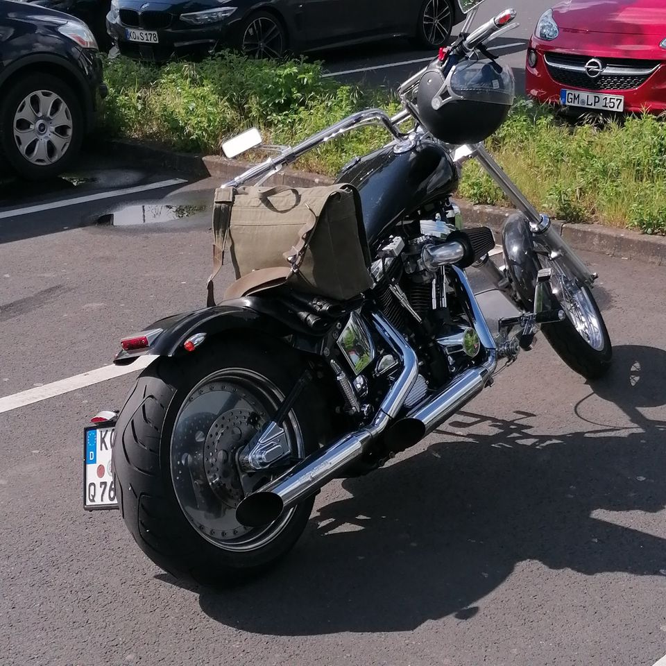 Harley Davidson Softail Custom in Koblenz