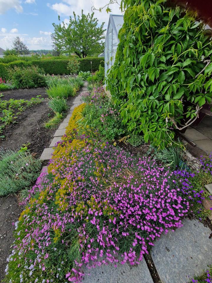 KleingartenSchrebergarten in Cainsdorf in Sachsen Zwickau