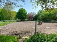 Pferdeparadies ca. 6.000 m² zu verpachten Niedersachsen - Ganderkesee Vorschau