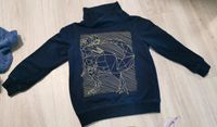 Jungen Pullover 116 Dinosaur Print Dino Rex Dunkelblau Kreis Ostholstein - Harmsdorf Vorschau