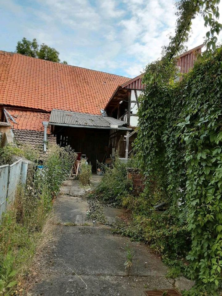 Haus, Grundstück, Scheune in Römhild