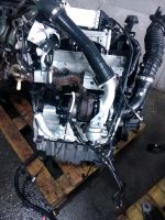 MOTOR CXH CXG VW T6 2,0TDI 150PS 28TKM KOMPLETT Berlin - Spandau Vorschau