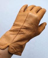 Vintage 20s 20er Glacehandschuhe Cognac 5 Lederhandschuhe schmal Sachsen-Anhalt - Dessau-Roßlau Vorschau