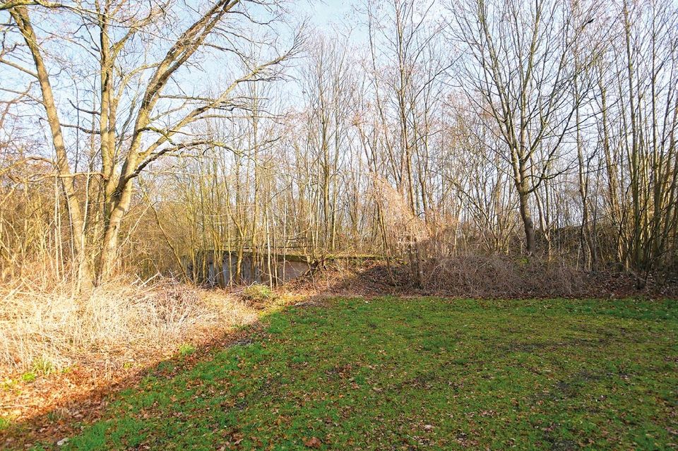 1,5 ha unbebautes Grundstück in Bad Sooden-Allendorf