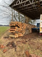 Brennholz Fichte/Kiefer Bayern - Irchenrieth Vorschau