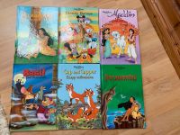 Disney Kinderbücher 6 Stück zusammen für 15€ Bayern - Weißenburg in Bayern Vorschau
