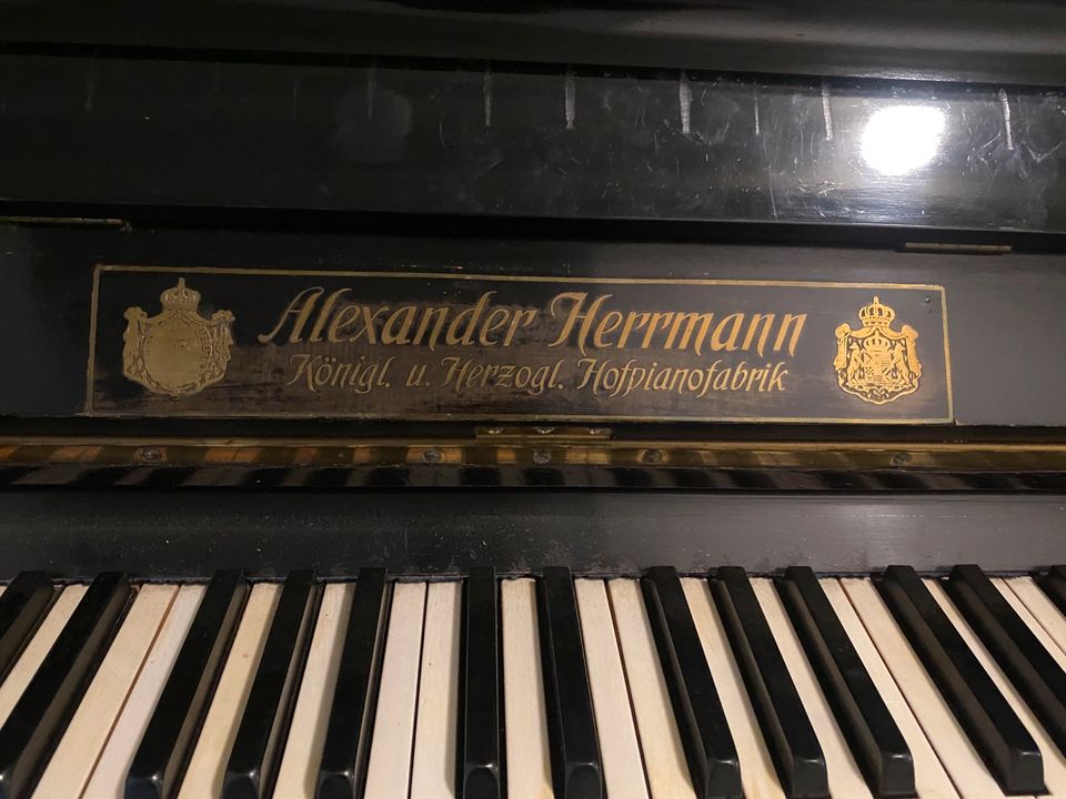 Klavier Piano Alexander Herrmann in Leipzig