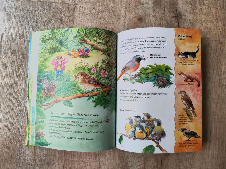 Buch kleine Tierkinder werden groß, wie neu , Wissensbuch in Nürnberg (Mittelfr)