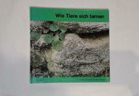 Buch - Wie Tiere sich tarnen - von 1976 Baden-Württemberg - Großrinderfeld Vorschau