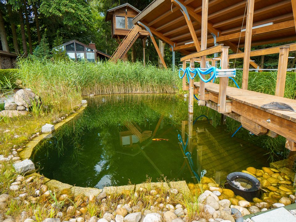 Traumvilla im Grünen: Luxuriöses Refugium im Herzen des Vogtlands in Falkenstein/Vogtland