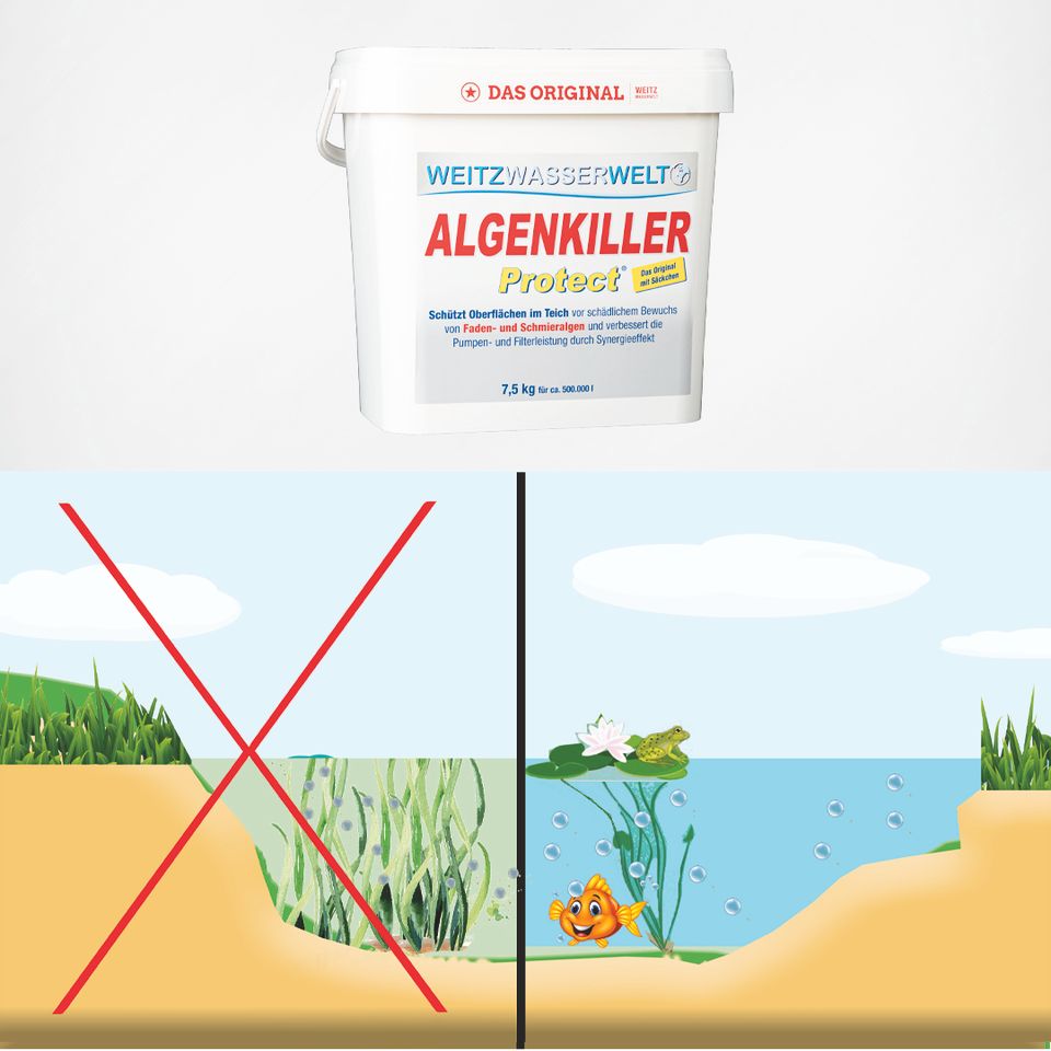 Algenentferner Algenkiller Protect® - für Garten-und Schwimmteich in Kleinwallstadt