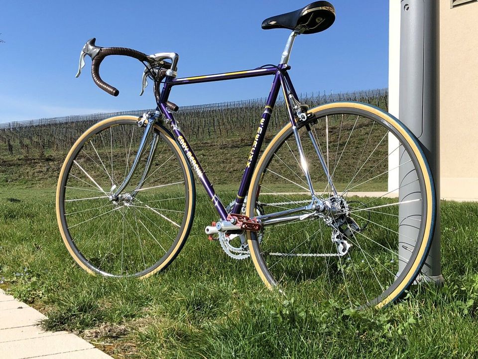 Eddy Merckx Corsa Extra Mieten Campagnolo Rennrad Laufradsatz in Sulzburg